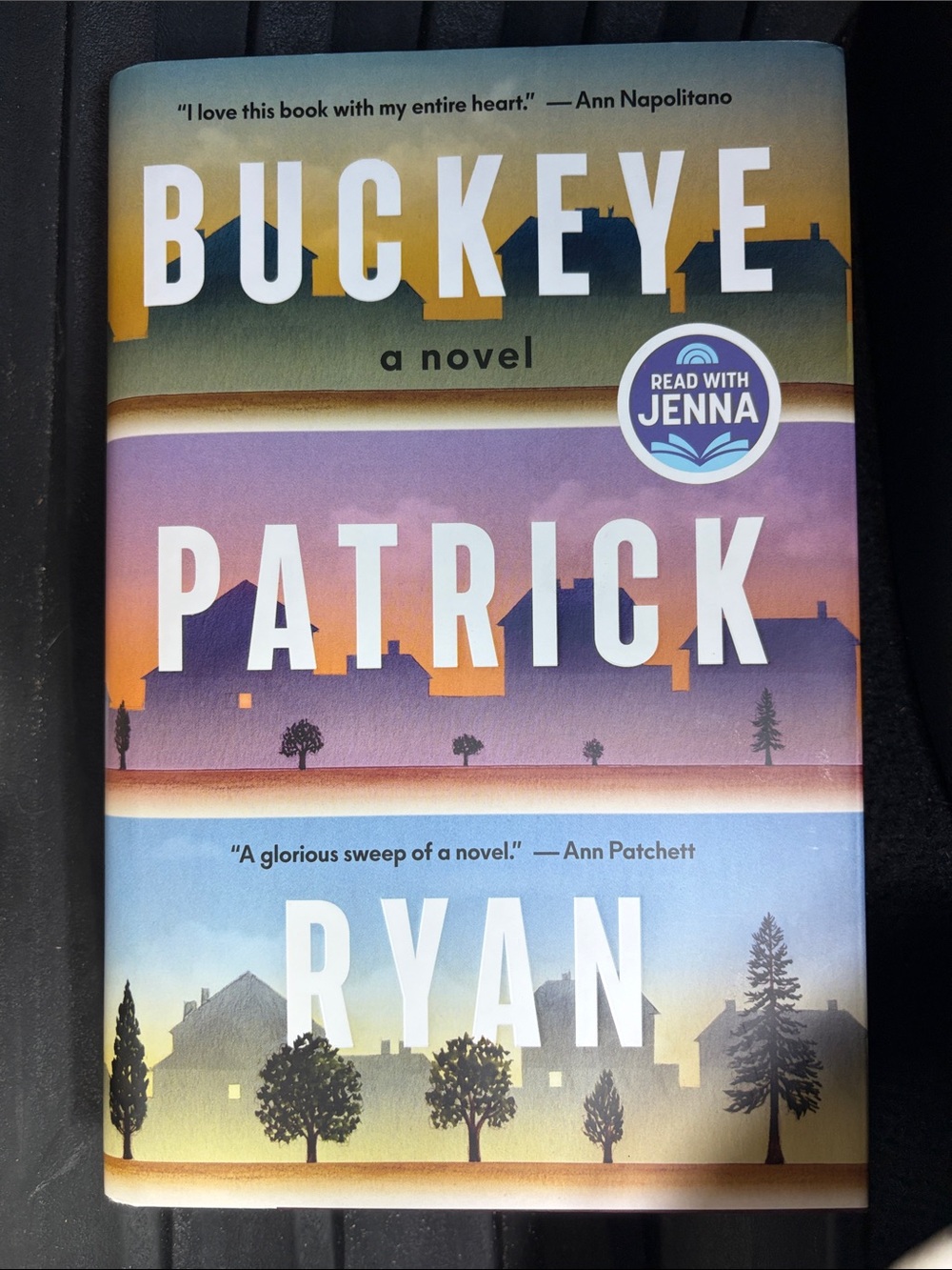 Buckeye by Patrick Ryan - Multicolor Hardcover